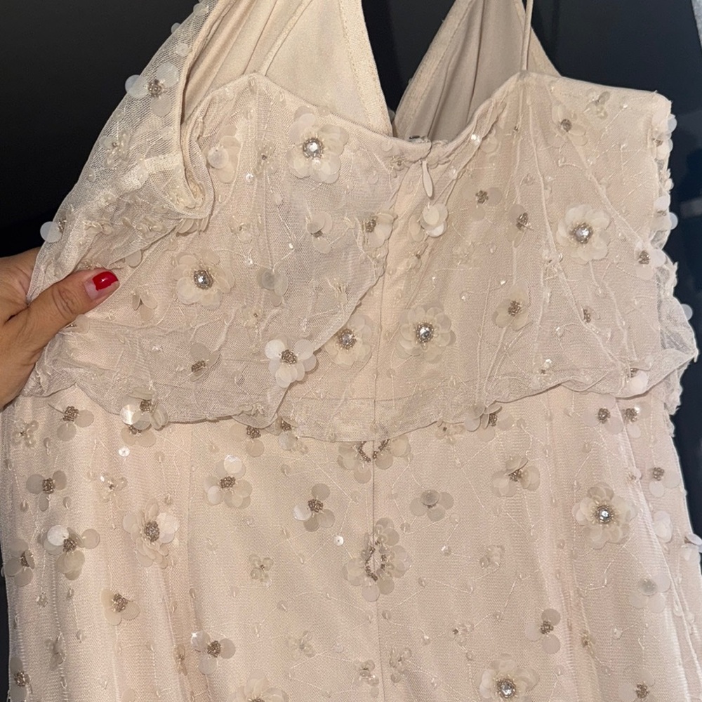 Elegant Beige Embellished Dress